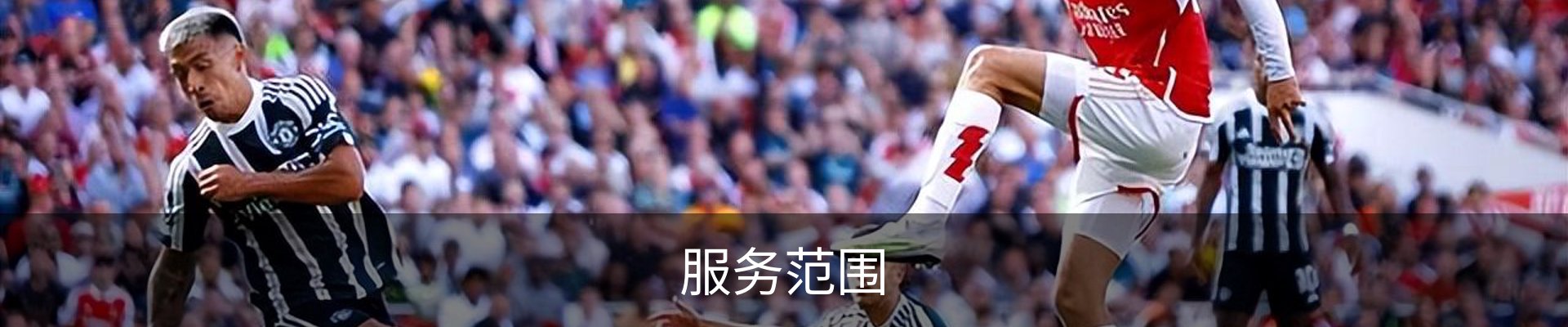 服务范围